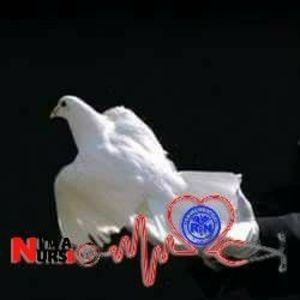 Meet your Posher, Gloria